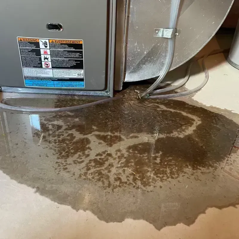 Appliance Leak Cleanup in Hagaman, NY